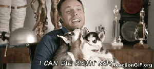 I-can-die-right-now-GIF