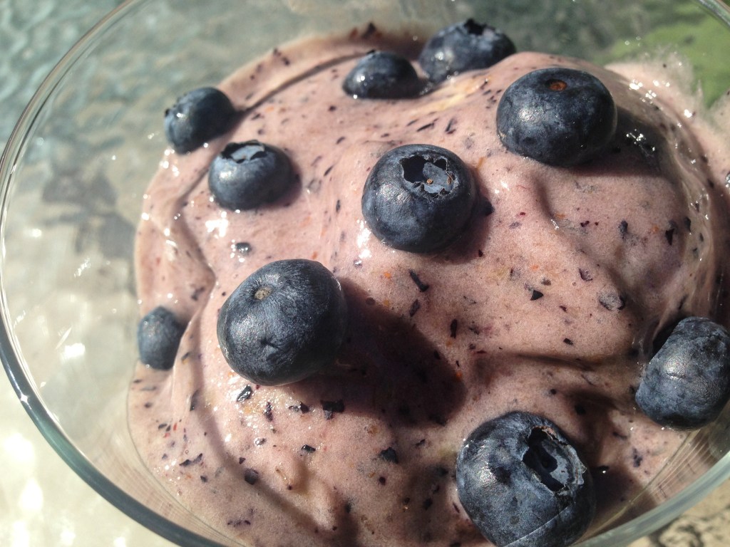 Blueberry Banana Ice-Cream! so good & good For you!