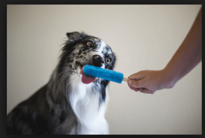 Screen Shot 2015-07-04 at 10.14.40 AM