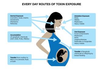 Screen Shot 2015-07-10 at 10.21.19 AM