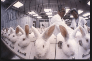 Screen Shot 2015-07-14 at 11.59.03 AM