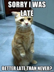 cat