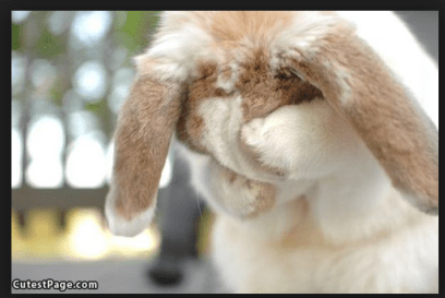 Screen Shot 2015-08-12 at 10.02.42 AM