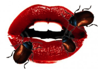 Screen Shot 2015-09-07 at 11.07.46 AM