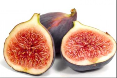 Screen Shot 2015-09-21 at 10.28.19 AM