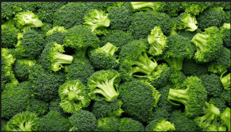 Screen Shot 2015-09-21 at 10.31.20 AM