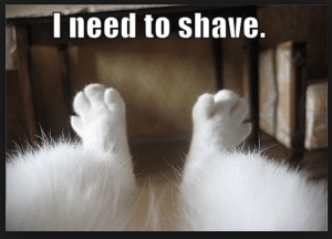 Screen Shot 2015-10-30 at 8.23.29 AM