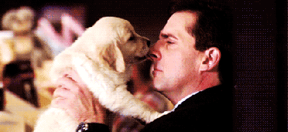 tumblr_lg2tjn8MDP1qcnhhzo1_500