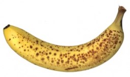 ripe-banana-300x179