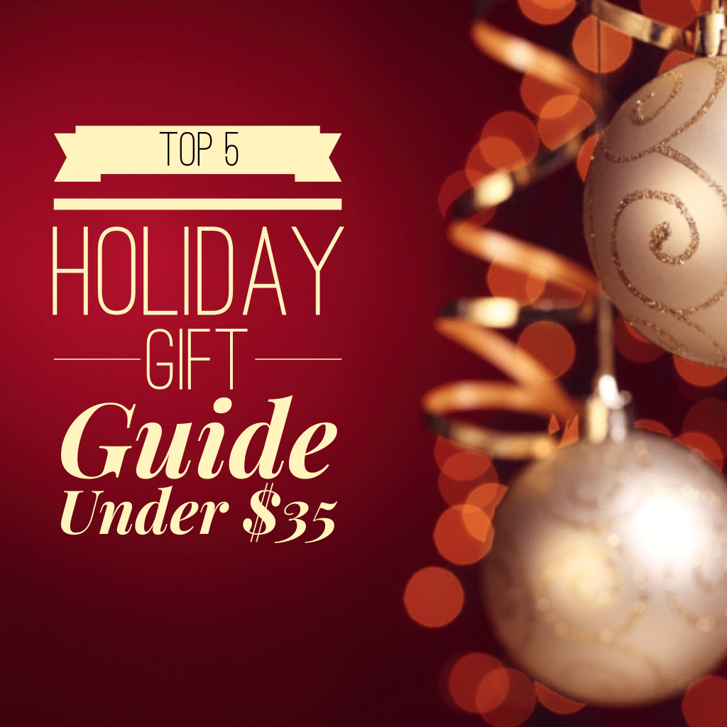 Holiday Gift Guide under $35~ My Top&nbsp;5