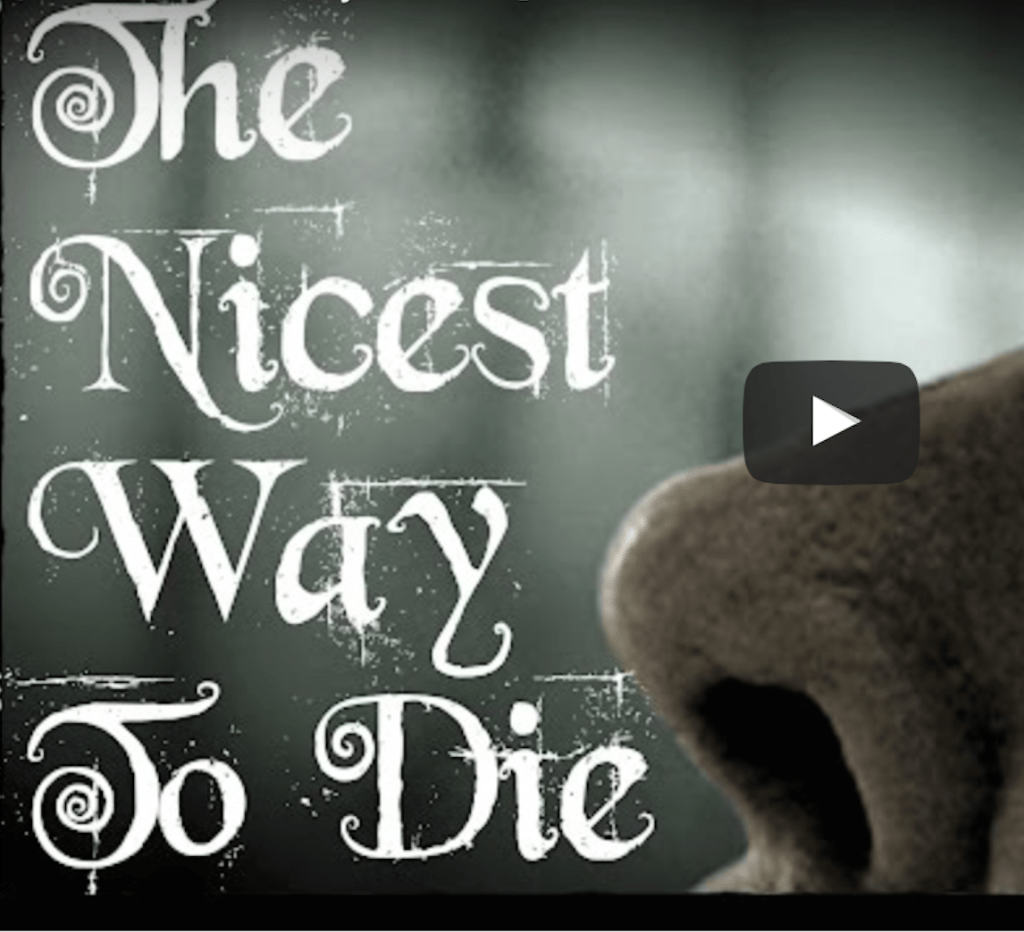 The Nicest Way to&nbsp;Die!
