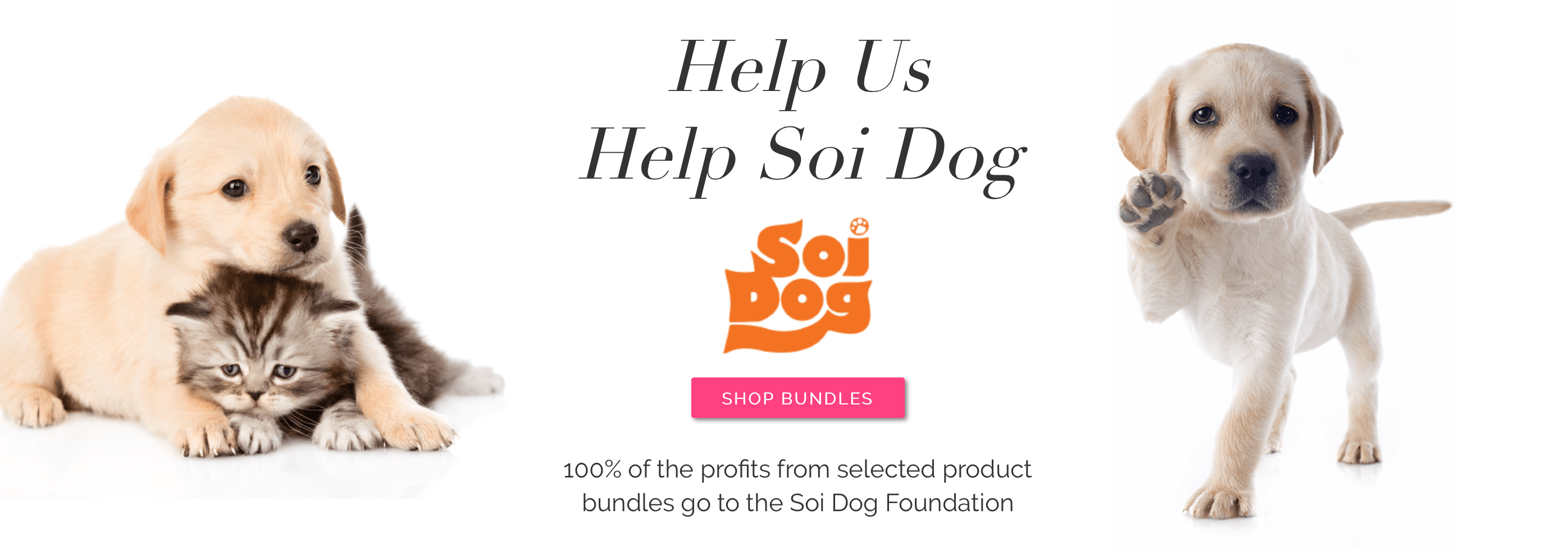 Screen Shot 2016-04-07 at 2.45.16 PM