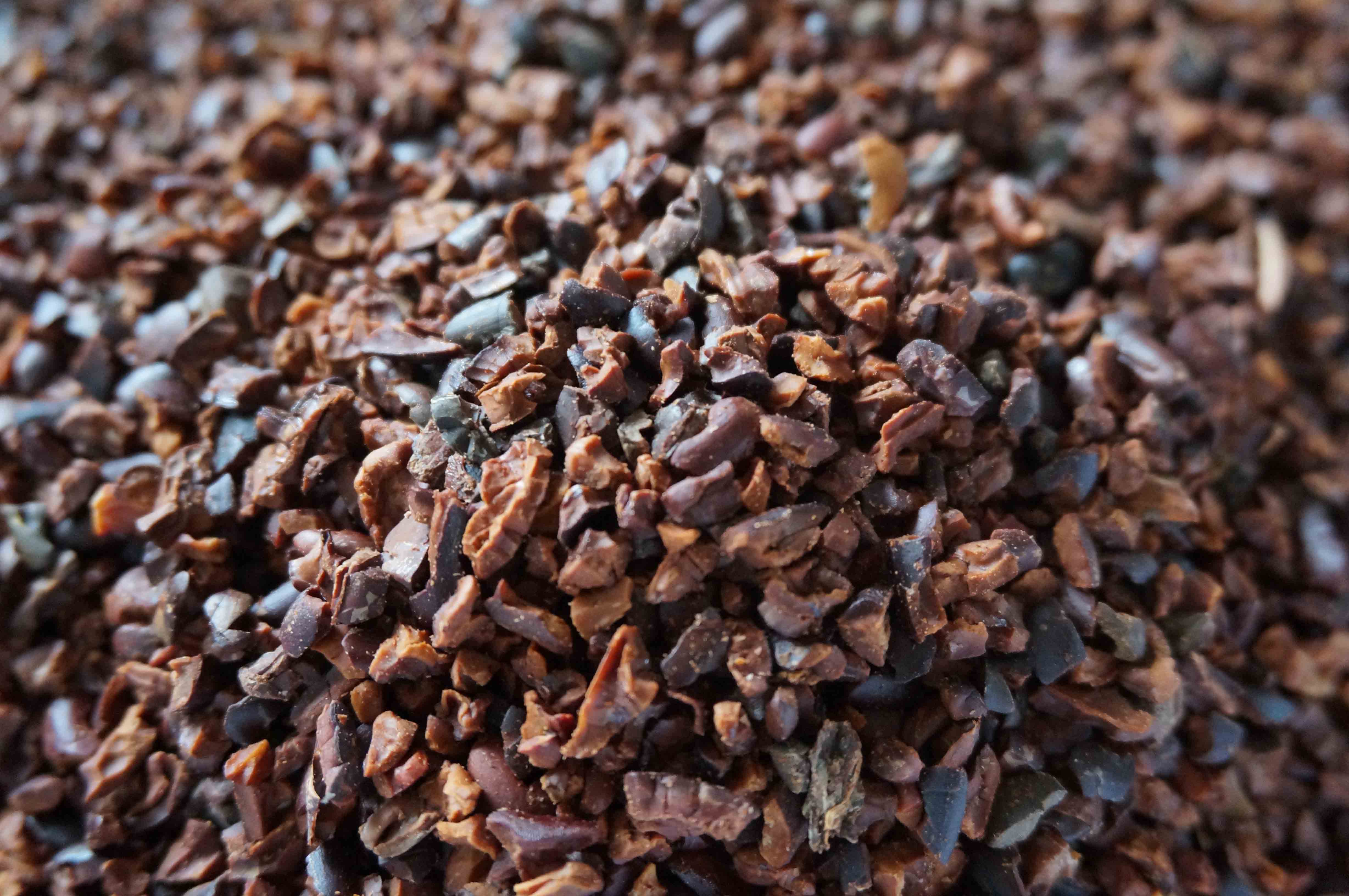 1404-CacaoNibsBirdsEye-Small
