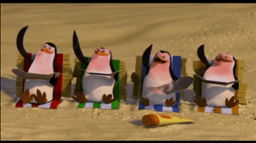 Madagascar-penguins-sunburnt