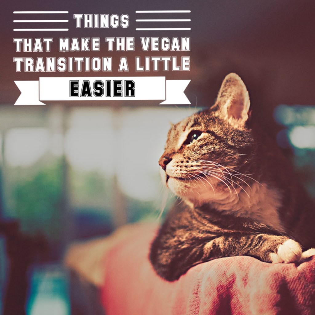 Things That Make The Vegan Transition A Little&nbsp;Easier.