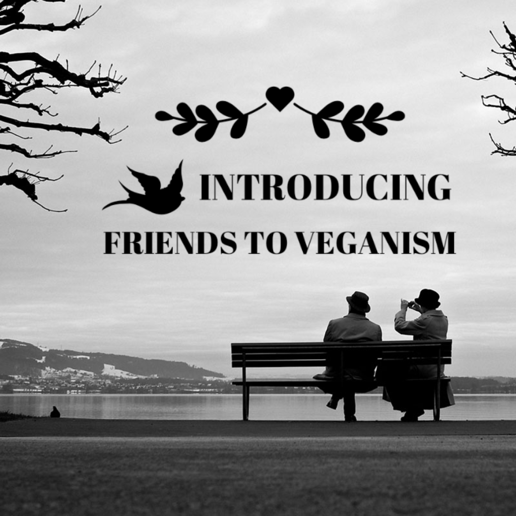Introducing Friends To&nbsp;Veganism