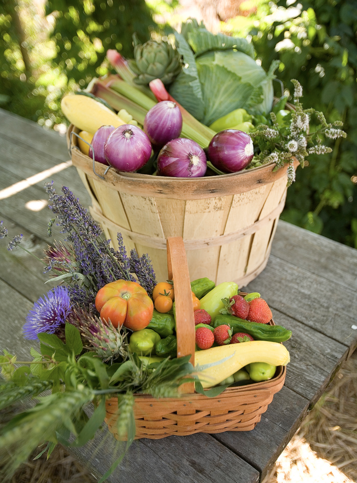 Screen Shot 2017-09-07 at 8.59.06 AM.png