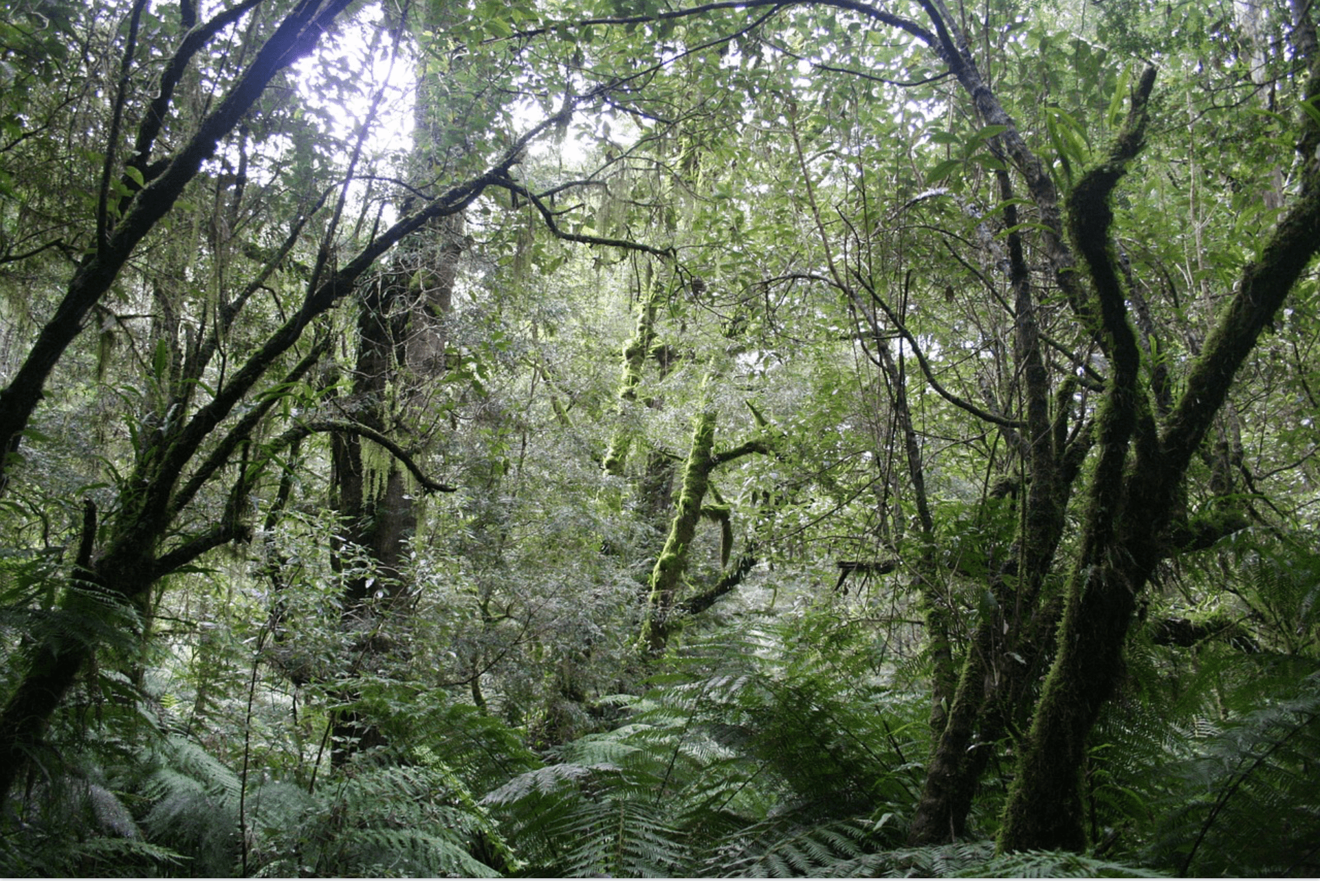 Screen Shot 2019-03-05 at 3.30.18 AM.png